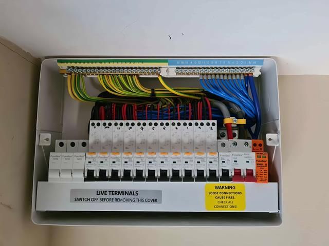 Domestic Electricians